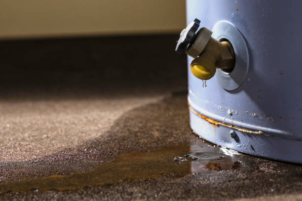 Best Water damage restoration company  in Tea, SD