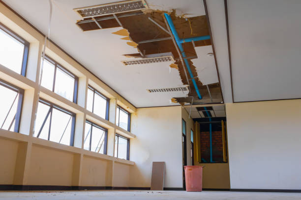 Best Water damage restoration experts  in Tea, SD