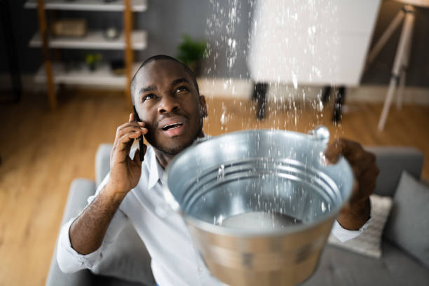 Best Residential water damage restoration  in Tea, SD