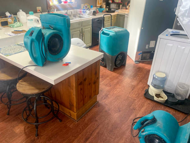 Best Water damage restoration insurance claims  in Tea, SD