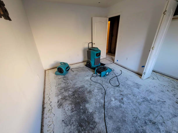Best Carpet water damage restoration  in Tea, SD