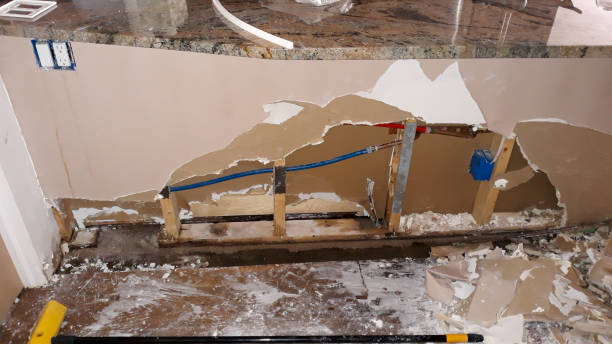 Best 24/7 water damage repair  in Tea, SD