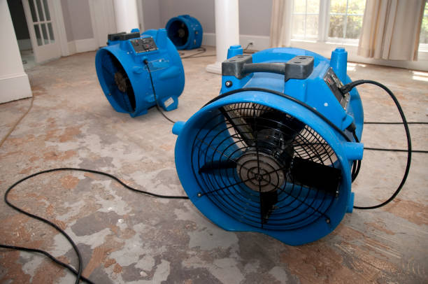 Best Local water damage restoration  in Tea, SD