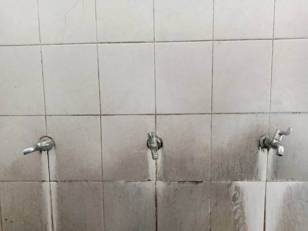 Best Basement water damage restoration  in Tea, SD