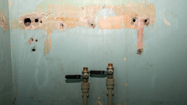 Best Water damage restoration cost  in Tea, SD