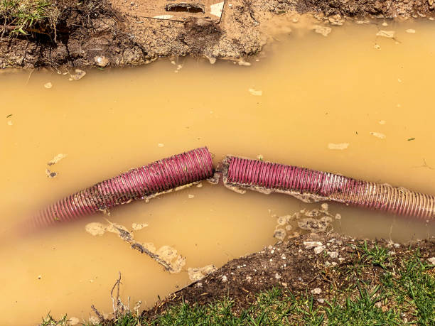Best 24-hour water damage restoration  in Tea, SD