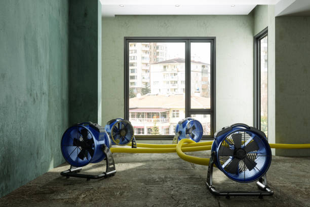 Fire Damage Restoration in SD