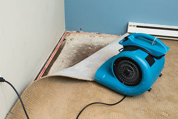 Best Residential water damage restoration  in Tea, SD
